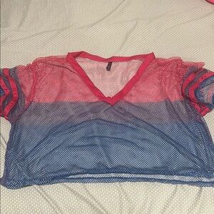 Pink and Blue Sheer Crop Jersey Top